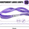 Stretching Strap Yoga Strap with Loops, Stretch Straps for Physical Therapy, Non-Elastic Exercise Strap for Pilates, Dance and Gymnastics with Workout Guide - Image 4