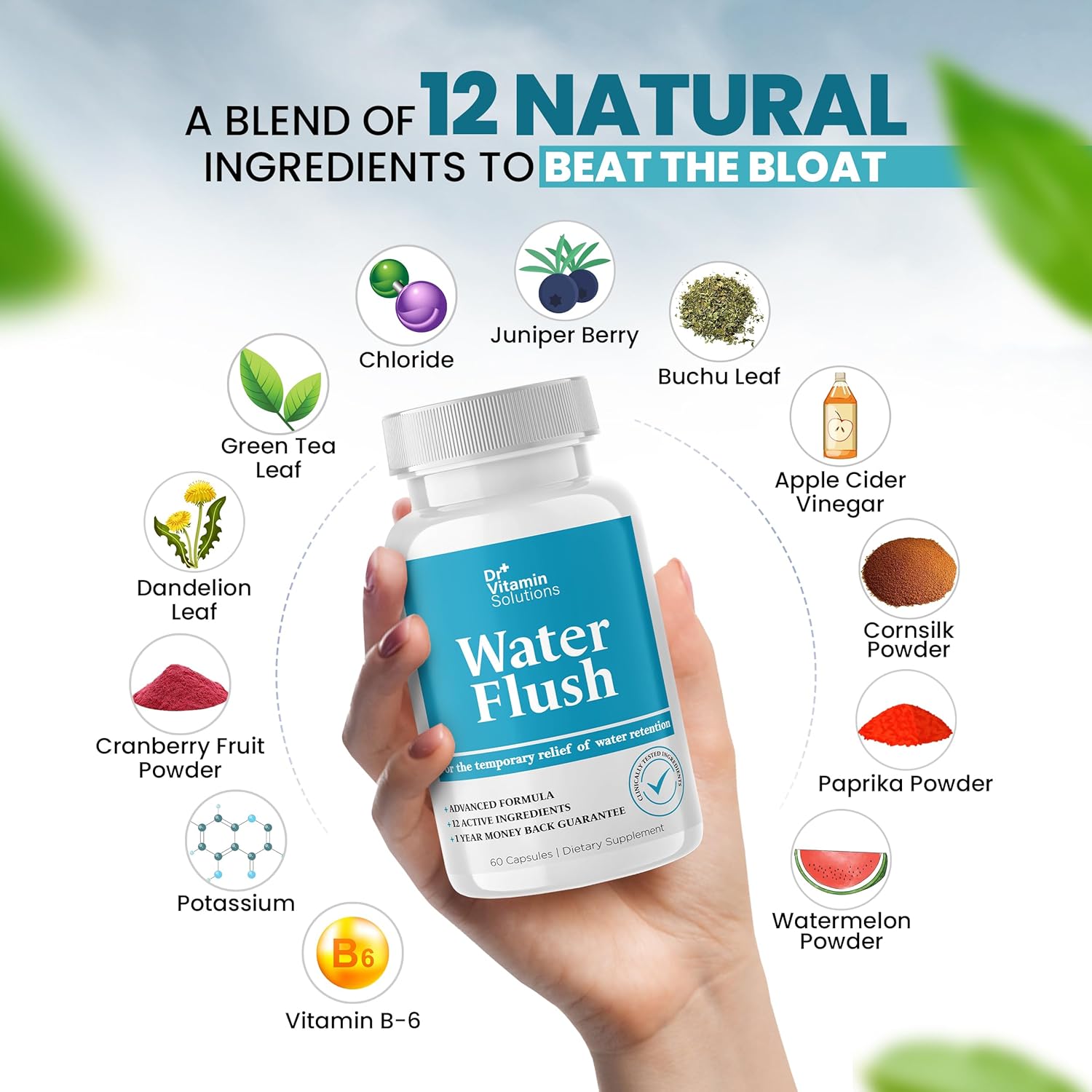 Diuretic Water Pills for Weight Control, 12 Active Ingredients (Green Tea, Cranberry & More), Instant Relief from Bloat & Swelling, Water Retention Pills for Women & Men - 60 Caps - Image 7